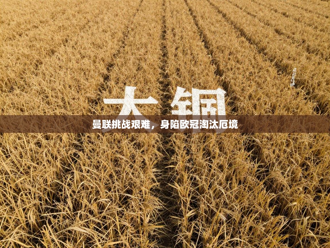 曼联挑战艰难，身陷欧冠淘汰厄境  第1张